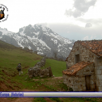 Cuadros GMCS (111)