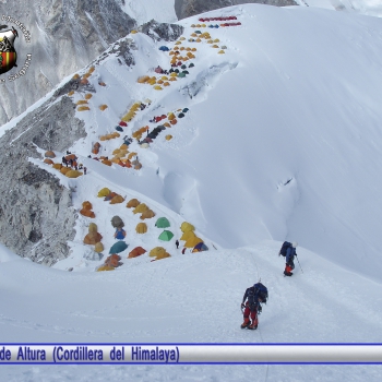 Cuadros GMCS (147)